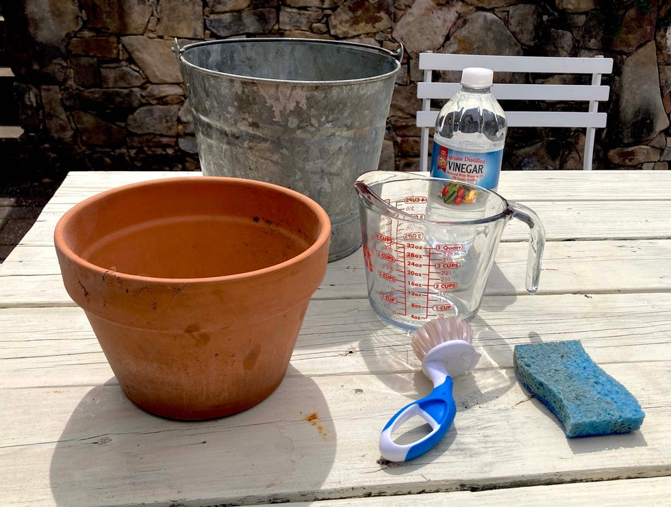 supplies needed for cleaning a dirty garden pot on an outdoor table