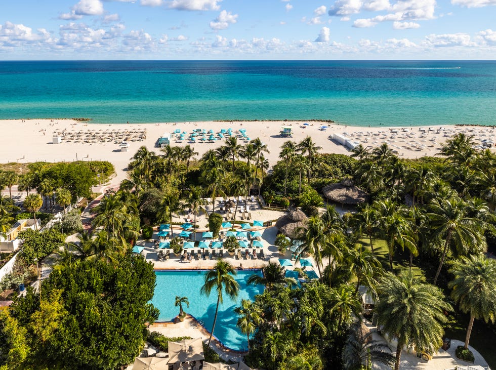 miami travel guide the palms hotel and spa