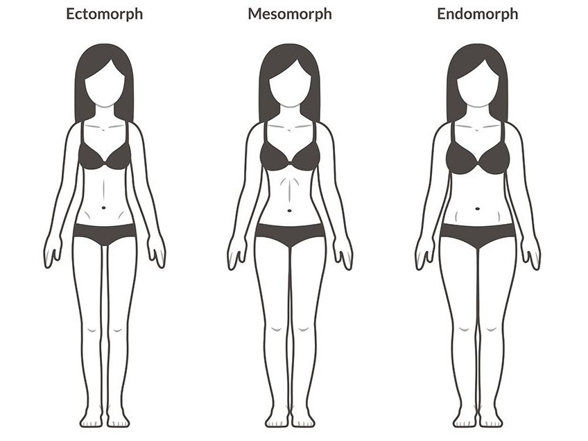 The 3 Body Types, Explained