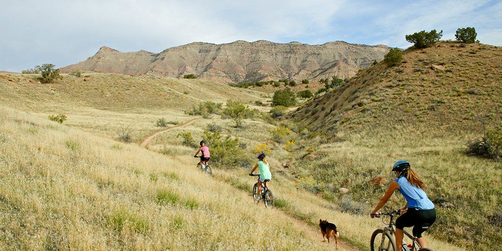 Explore 39,000 Miles of Colorado Trails With This Incredible Interactive Map