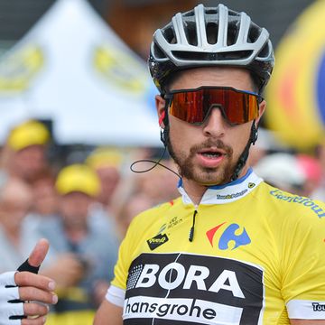 Peter Sagan UCI Agreement Tour de France Disqualification