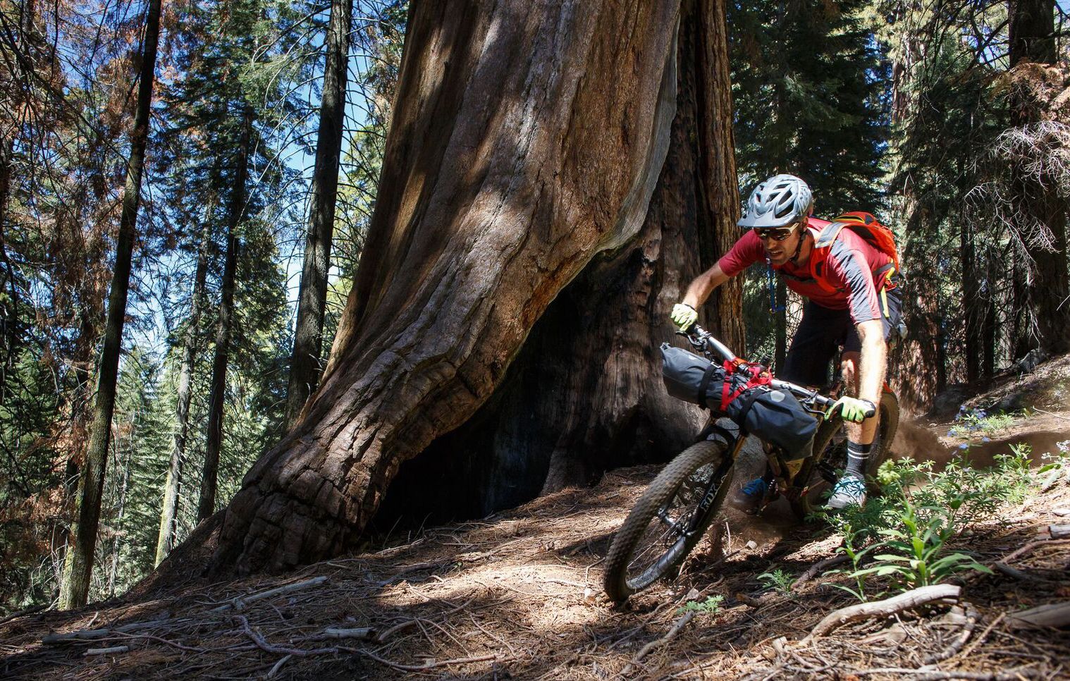 Sequoia national cheap park mountain biking