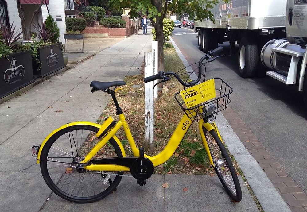 Ofo best sale bike price