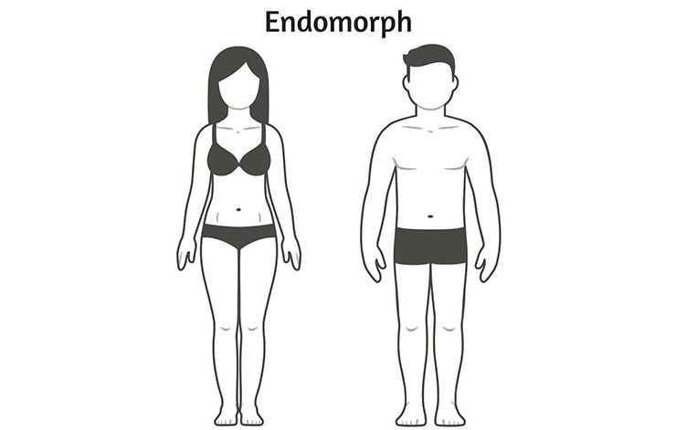 endomorph body type –