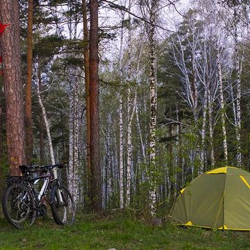 bikes and tent in forest
