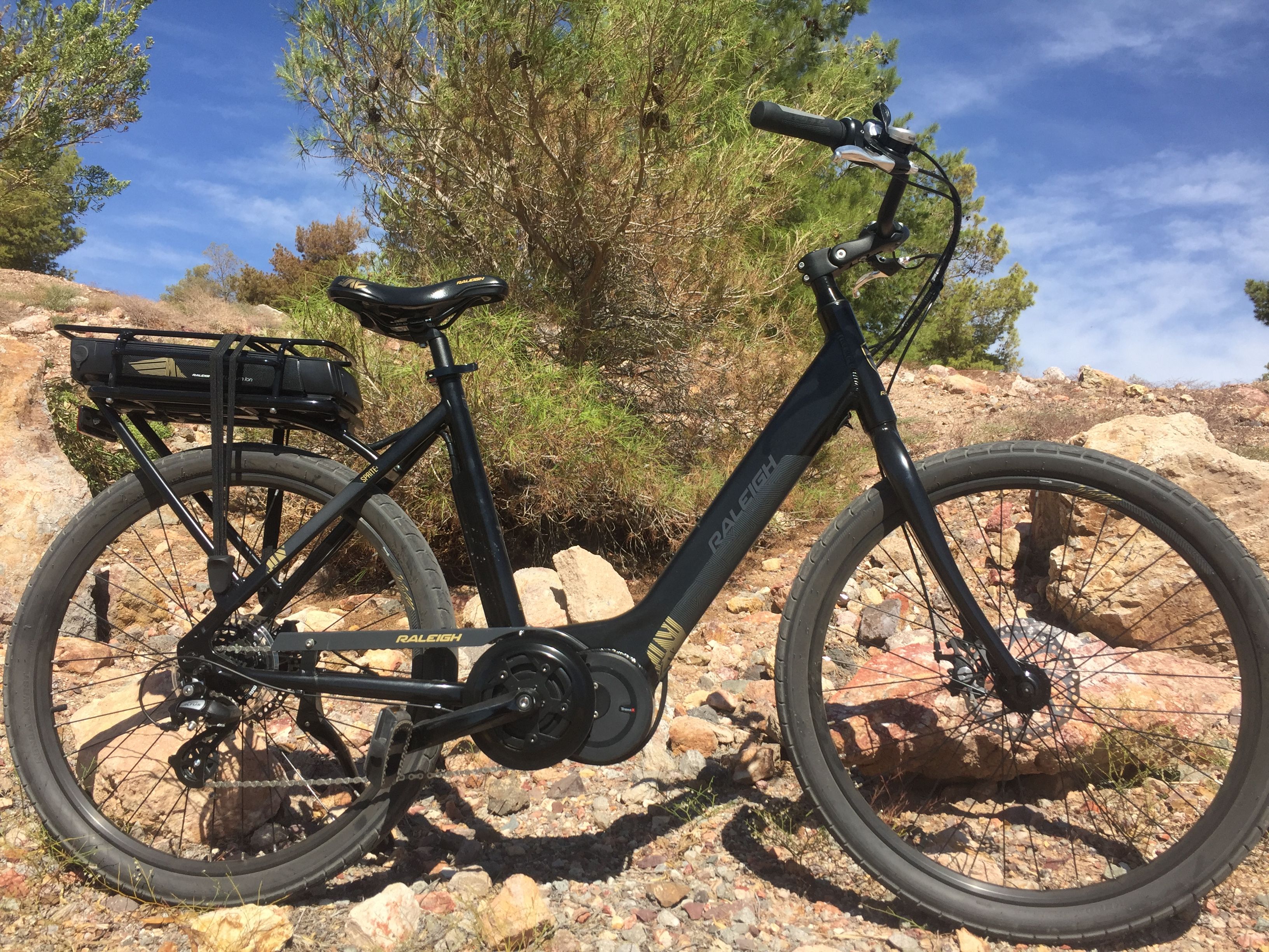 Raleigh special best sale ie ebike