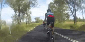 Kangaroo Attacks Cyclist 