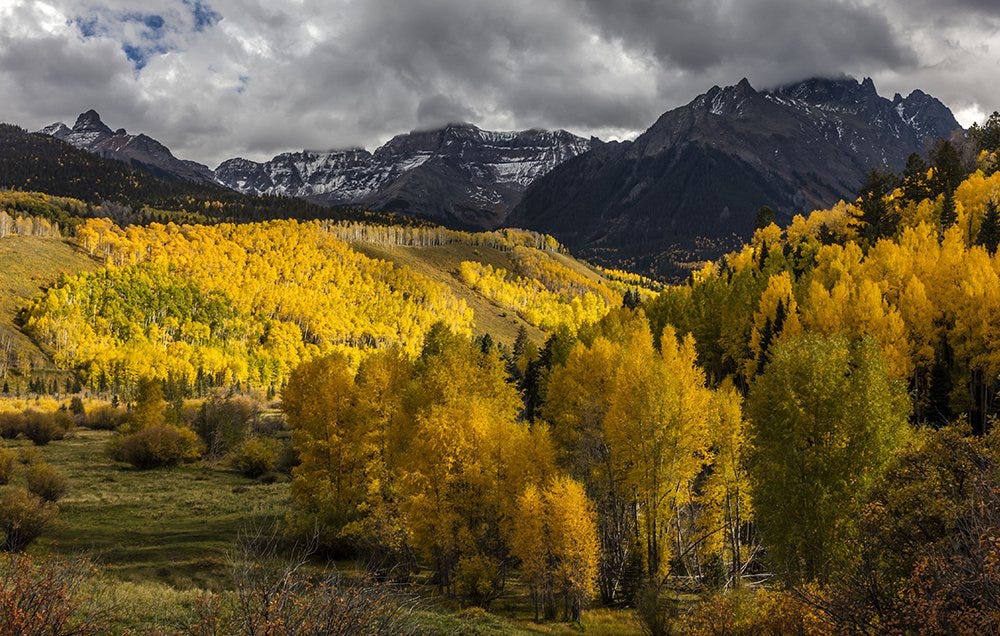 Mountain Biker Killed by Lightning Strike on Trail Southwest of ...