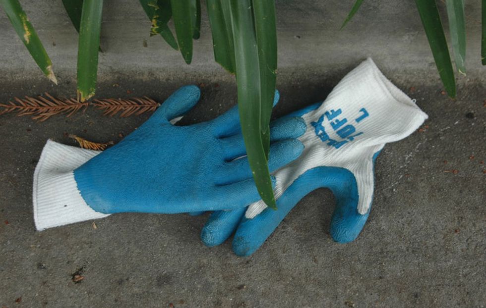 pair of gardening gloves