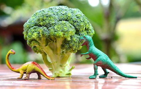 dinosaurs near broccoli