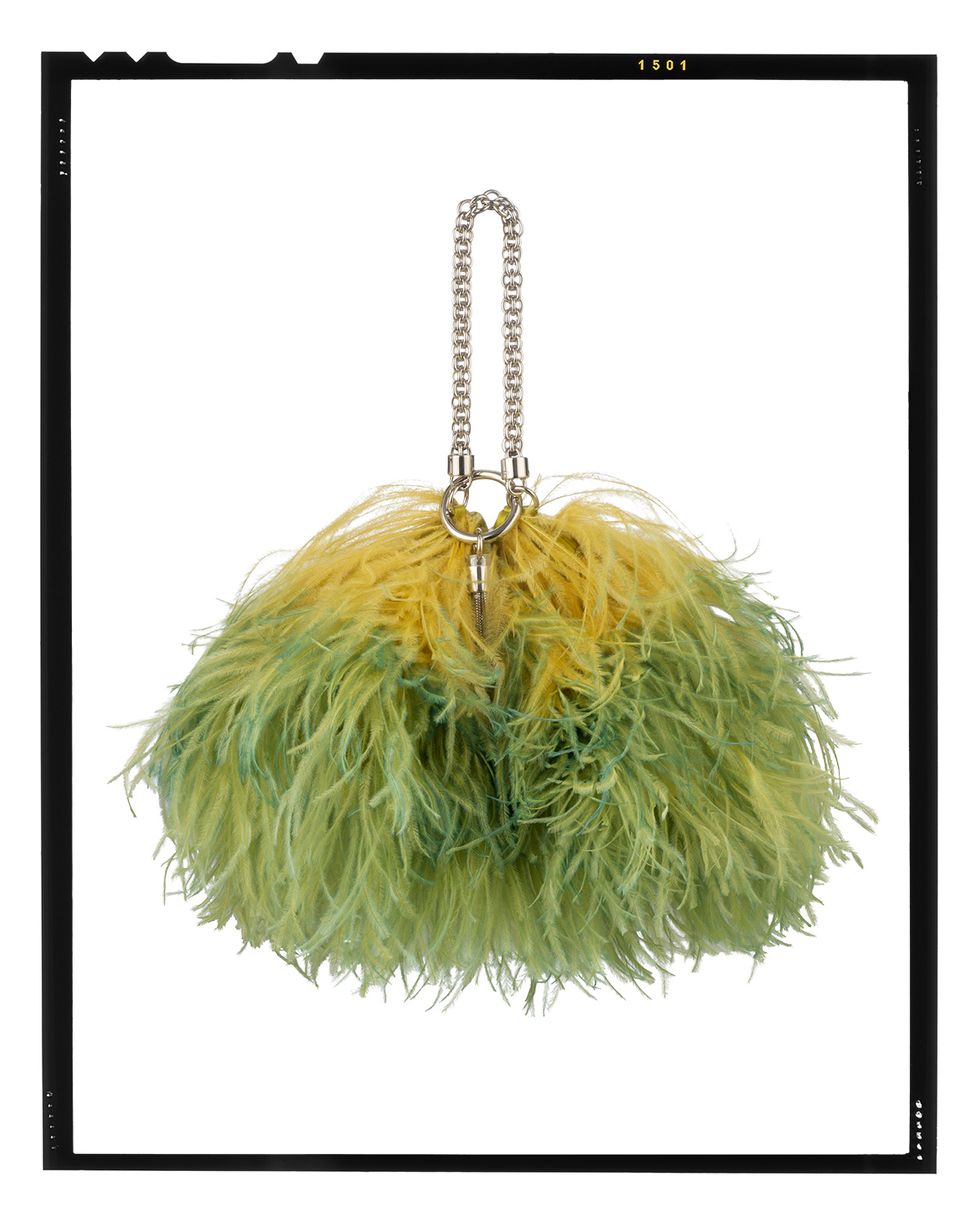 Feather, Fur, Fashion accessory, Natural material, 