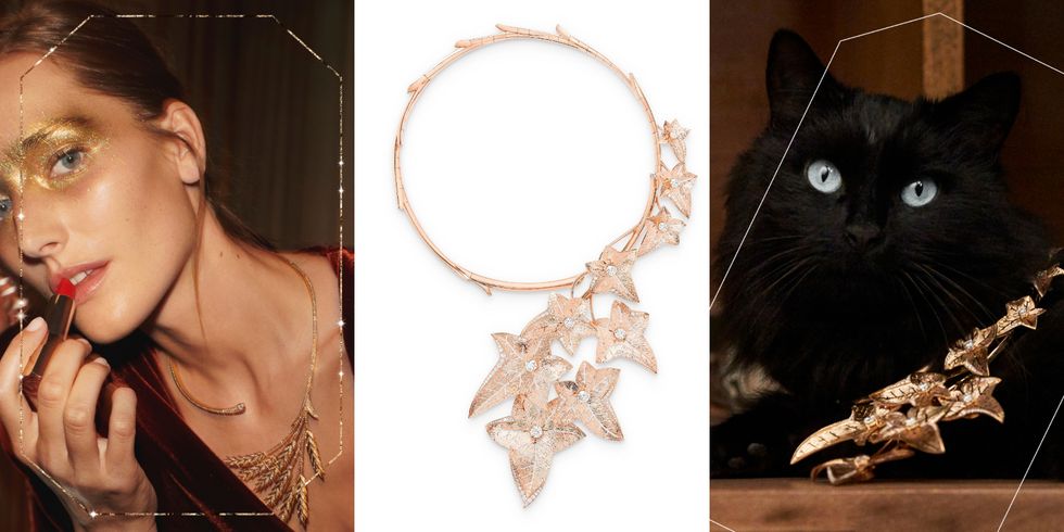 Cat, Skin, Felidae, Necklace, Small to medium-sized cats, Fashion accessory, Headpiece, Ear, Jewellery, Neck, 