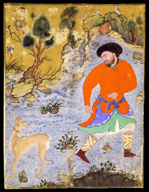 In de middeleeuwen waren slanke windhonden zoals de saloeki die op deze Perzische miniatuur is vastgelegd zeer geliefd bij de hogere standen in Azi en Europa