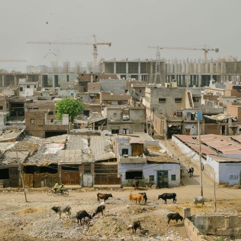 Een melkveehouderij ligt tussen een enorm bouwproject en een vuilstortplaats Het vee komt dagelijks in contact met afval wat het risico op verontreinigd zuivel vergroot