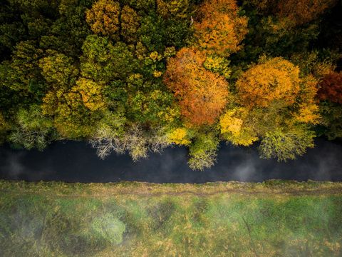 Herfstkleuren naast de rivier de Susaa in Denemarken