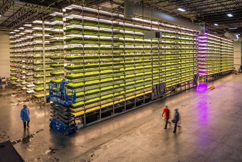 https://www.nationalgeographic.com/content/dam/science/2020/04/21/human-journey-steinmetz/10-human-journey-steinmetz.jpg Op de AeroFarms in Newark New Jersey groeien gewassen uit zaden op matten die worden besproeid met een voedingsrijke oplossing Verticale aerocultuur is een veelbelovende technologie die kostbare grond water en ruimte bespaart