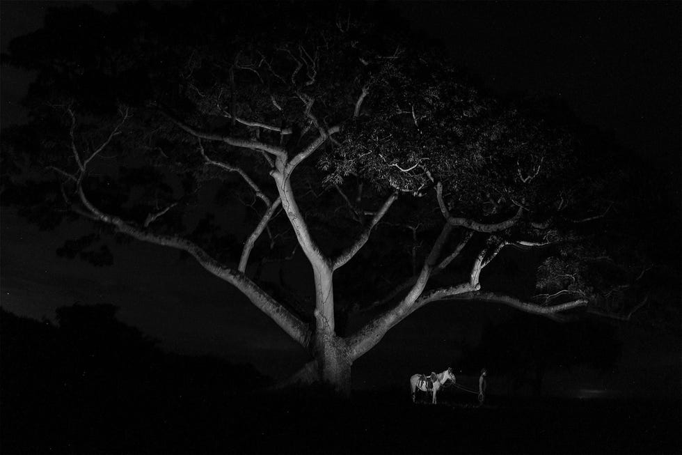 Een paard staat bij de veeverblijven in Hato Santana in Casanare