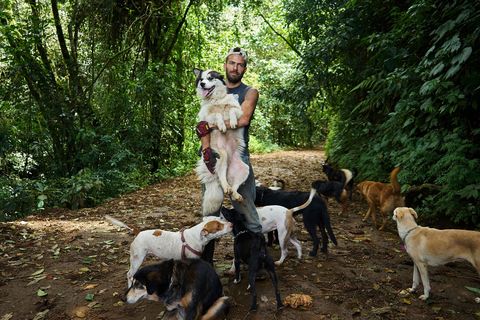 In een bos op het landgoed Territorio de Zaguates houdt weekendvrijwilliger Freddy de hond Safira  die een oor mist  in zijn armen