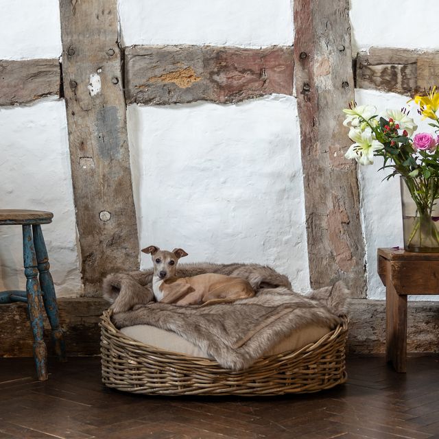 10 luxury dog beds to spoil your pet with