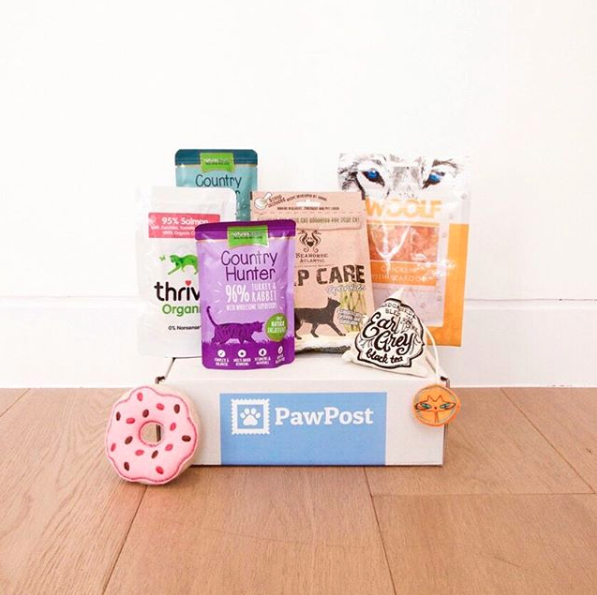 10 of the best dog subscription boxes to buy now