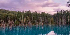 Reflection, Body of water, Natural landscape, Nature, Water, Natural environment, Lake, Sky, Tree, Nature reserve, 