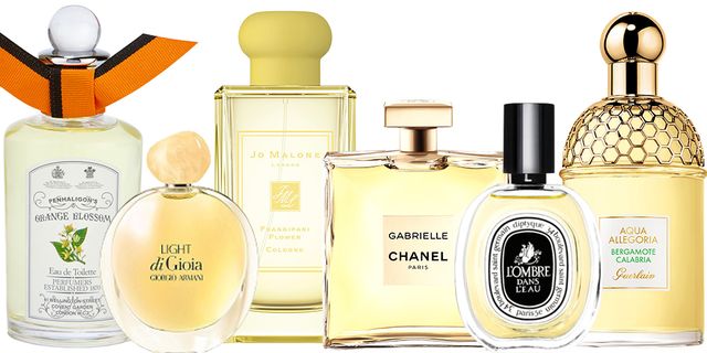 Perfume, Product, Cosmetics, Fluid, Glass bottle, Liquid, Brand, Bottle, 