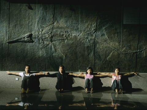 In het Institute of Vertebrate Paleontology and Paleoanthropology in Beijing vallen deze vier vrouwen in het niet bij het 570 meter lange en tweehonderd miljoen jaar oude fossiel van een ichtyosaurus uit zuidelijk China Hoewel de naam ichtyosaurus Grieks is voor vishagediswas de ichtyosaurusgeen vis maar een reptiel dat in de oceaan van het Mesozocum rondzwom