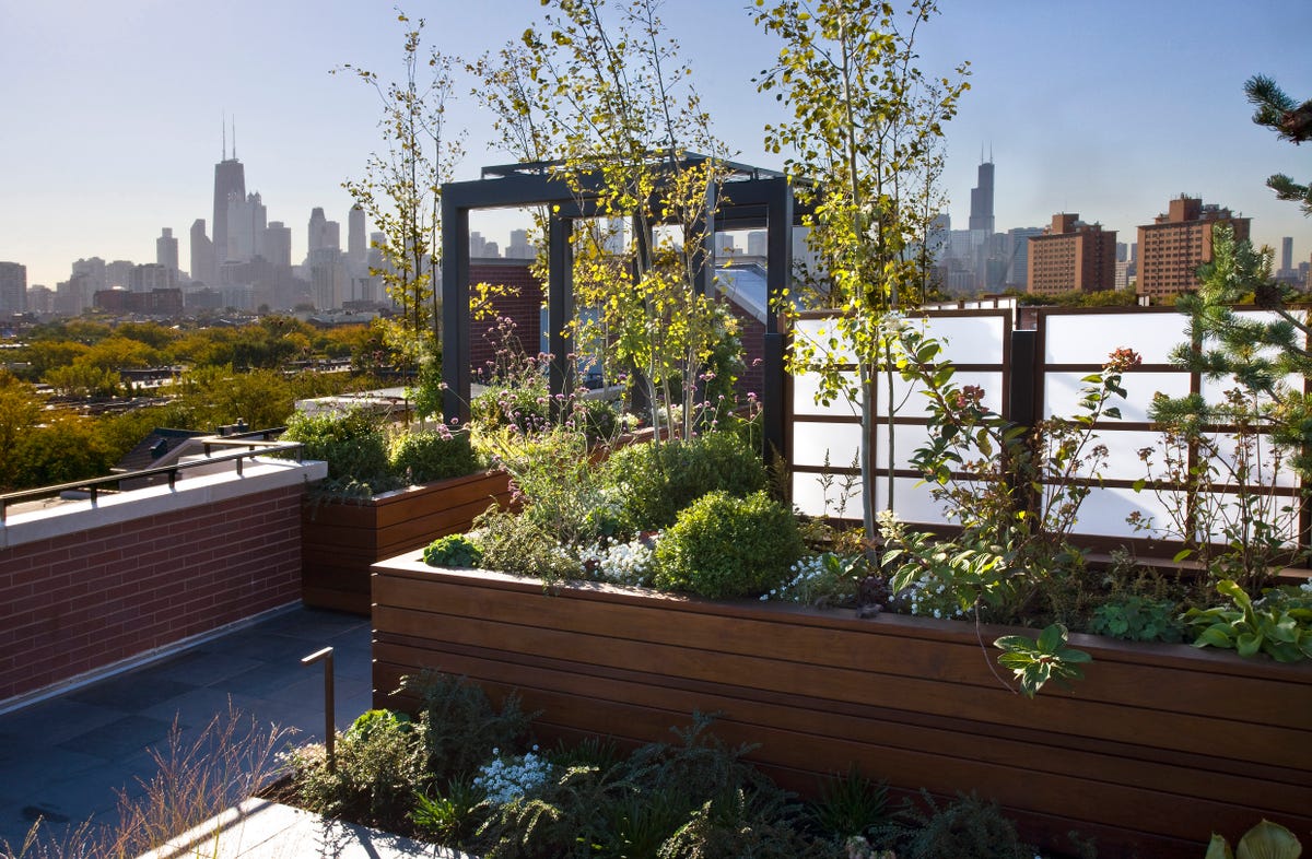 What Are Green Roofs? Benefits, Types, and Cost