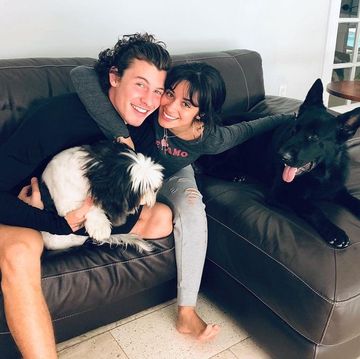 shawn mendes and camila cabello hug on a brown couch while cuddling two dogs