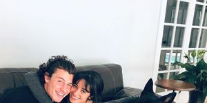 shawn mendes and camila cabello hug on a brown couch while cuddling two dogs
