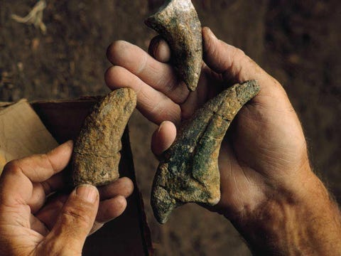 Bij opgravingen in Dry Mesa in Colorado kwamen deze schatten uit de Jura tevoorschijn de klauwen van een uitgestorven wezen Alle theropoden de groep van tweevoetige dinosaurirs waartoe ook T rexen deVelociraptor behoorden hadden sikkelvormige klauwen aan hun voor en achterpoten vergelijkbaar met moderne roofvogels Elke klauw eindigde in een scherpe punt die ideaal was voor het verscheuren van vlees Bij het slijten van de klauwen ontwikkelden ze een scherpe rand voor het doorsnijden van vlees