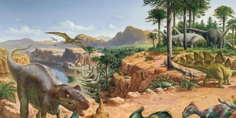 Het tijdperk van de Jura 1996 miljoen tot 1455 miljoen jaar geleden werd gekenmerkt door een warm en vochtig klimaat met weelderige vegetatie en een enorm rijke fauna Veel nieuwe dinosaurirsoorten ontwikkelden zich in deze periode en gedijden in grote aantallen waaronder stegosaurussen brachiosaurussen allosaurussen en talloze andere