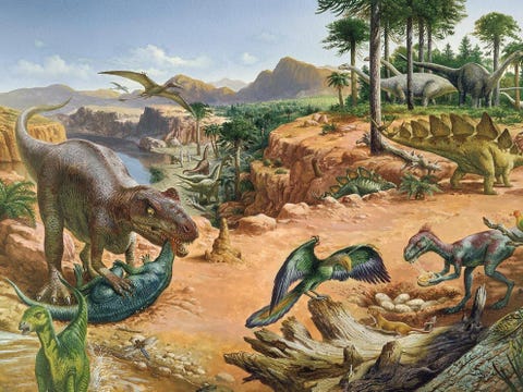 Het tijdperk van de Jura 1996 miljoen tot 1455 miljoen jaar geleden werd gekenmerkt door een warm en vochtig klimaat met weelderige vegetatie en een enorm rijke fauna Veel nieuwe dinosaurirsoorten ontwikkelden zich in deze periode en gedijden in grote aantallen waaronder stegosaurussen brachiosaurussen allosaurussen en talloze andere