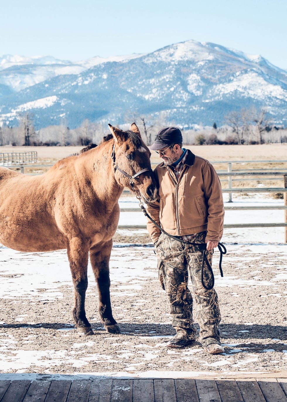 Horse, Pack animal, Sky, Ranch, Working animal, Tourism, Mountain, Landscape, Vacation, Rural area, 