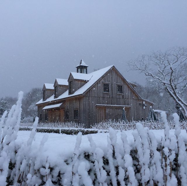 Snow, Winter, Freezing, Sky, Home, House, Atmospheric phenomenon, Tree, Frost, Rural area, 