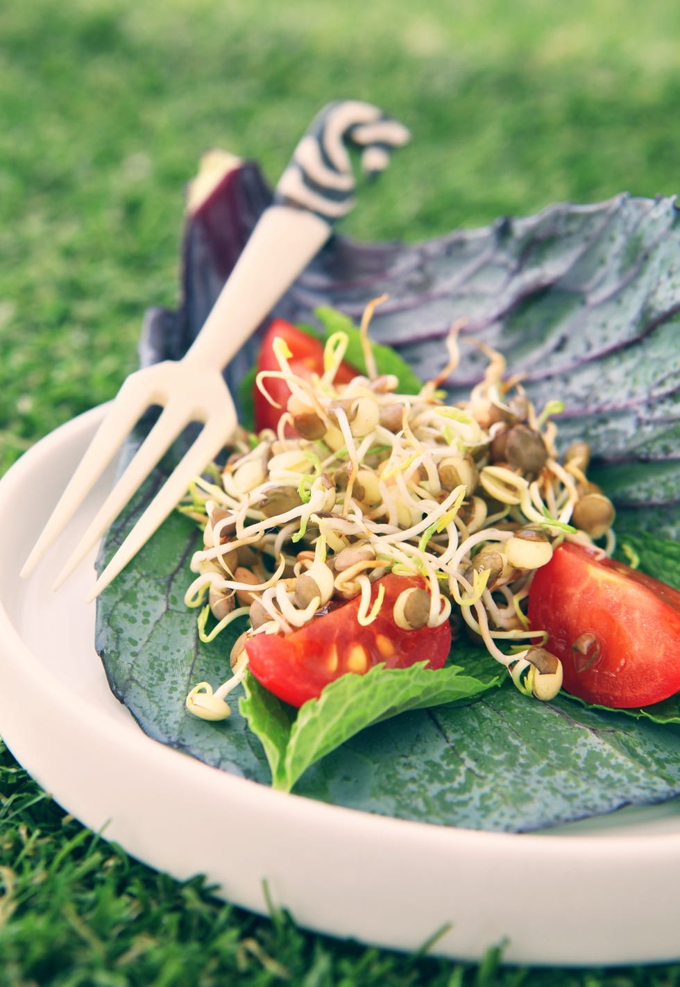 fresh salad with sprouts and tomatoes served on a leaf