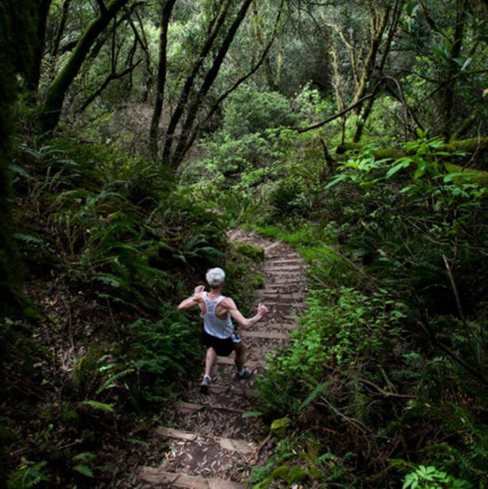 best running trails Dipsea Trail