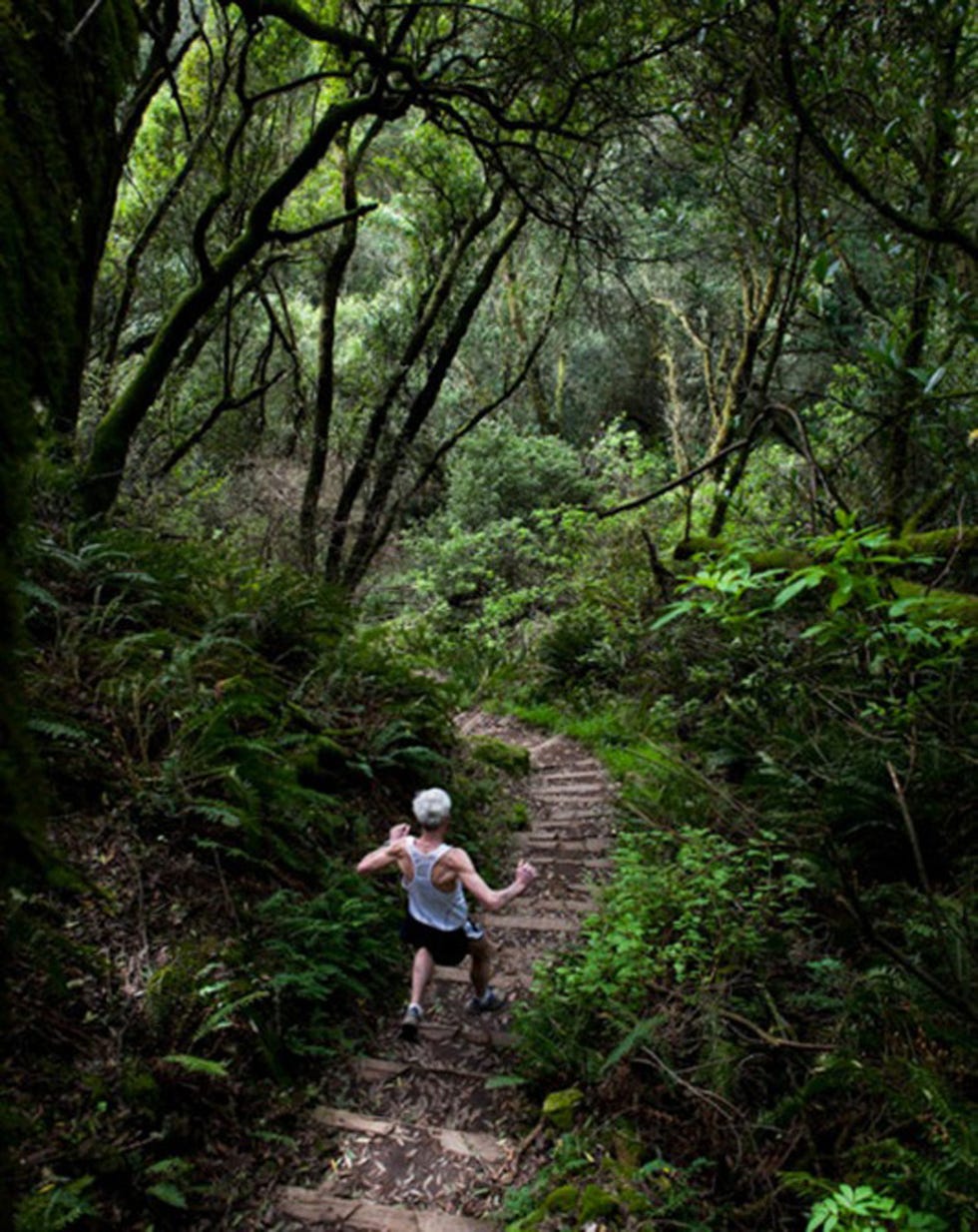 best running trails Dipsea Trail