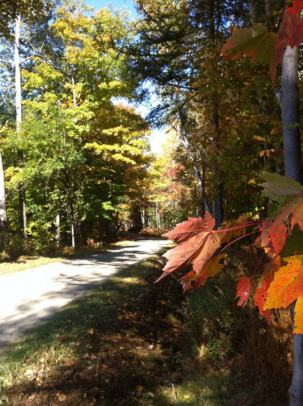 best running trails Trapp Family Lodge trails