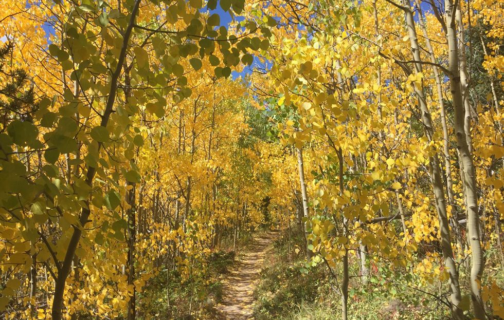 best running trails Colorado Trail