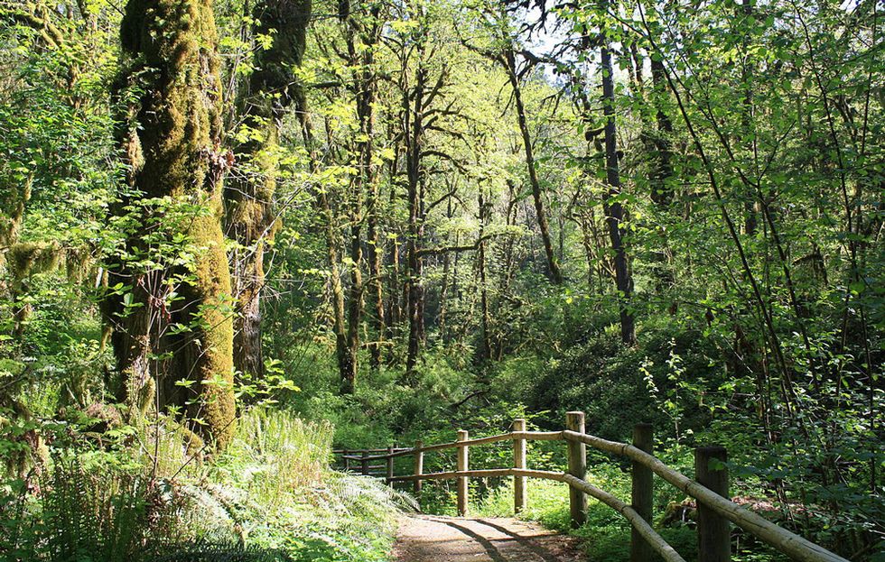 best running trails Green Lakes Soda Creek Trail