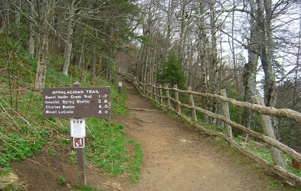 best running trails Appalachian Trail