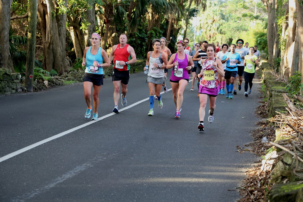 Footwear, Plant, Road, Recreation, Infrastructure, Endurance sports, Athletic shoe, Running, Community, Outdoor recreation, 