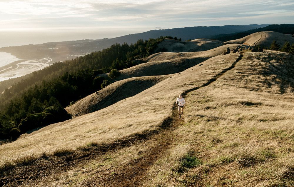 The discount marin trail