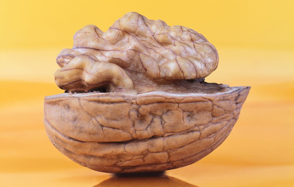food for brain health