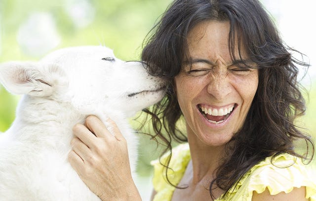 exercising with your pet