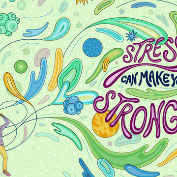 stress makes you stronger stress makes you stronger