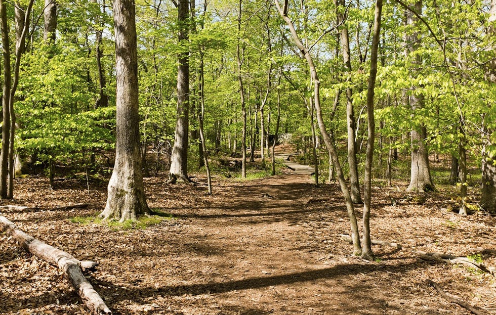 best running trails Billy Goat Trail