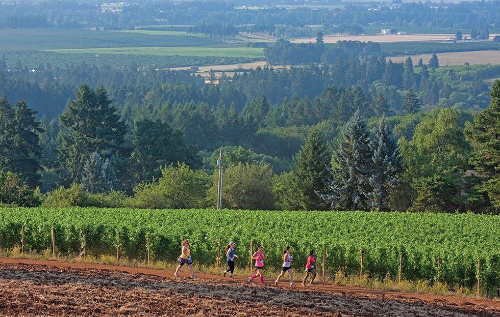 fueled by fine wine half marathon