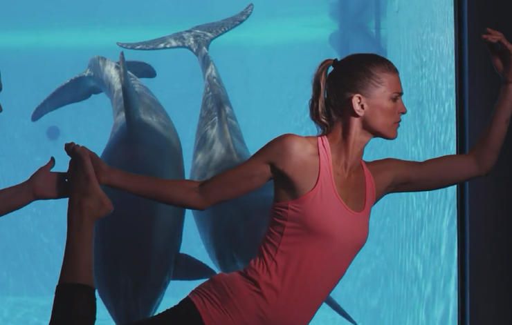 Yoga with dolphins